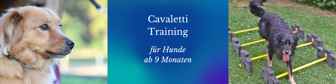 Cavaletti - Training