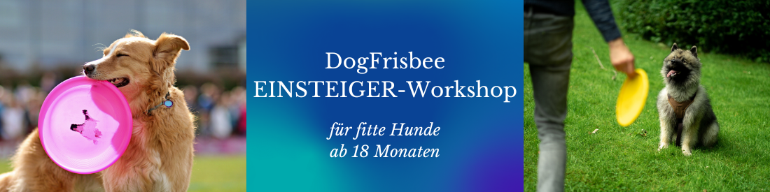 DogFrisbee - EINSTEIGER-Workshop