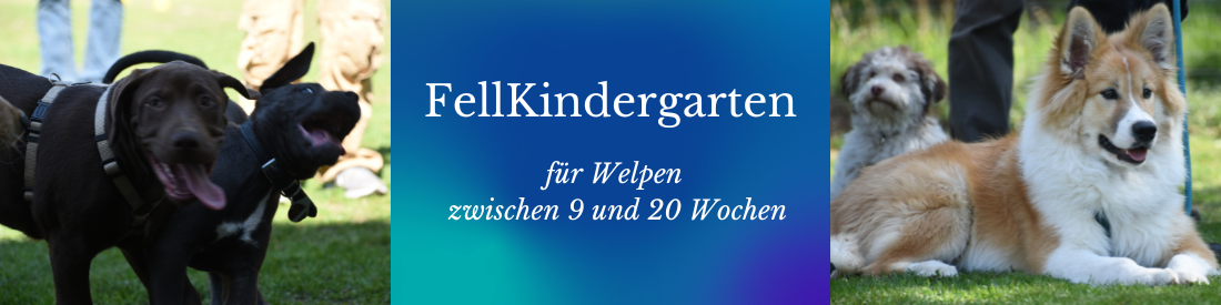 FellKindergarten