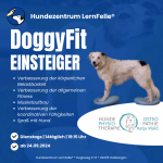 DoggyFit - Fitness für JederHund