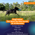 DogFrisbee - EINSTEIGER-Workshop