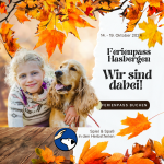 Kind & Hund - Ferienkurs für Einsteiger (Ferienpass Hasbergen)