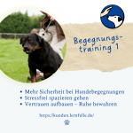 Begegnungstraining I