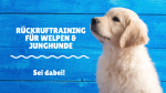 Rückruftraining für Welpen und Junghunde (9 Wo. - 8 Mo.)