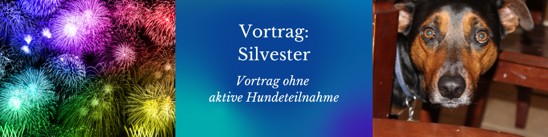 Vortrag: Silvester