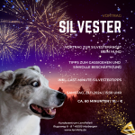 Vortrag: Silvesterangst beim Hund