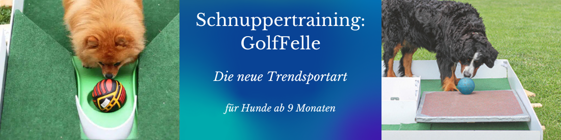 SchnupperTraining: GolfFelle – die neue Hundesportart für dich und deinen Vierbeiner! 