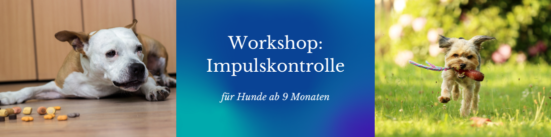 Workshop: Impulskontrolle - Starke Nerven für Hund und Mensch